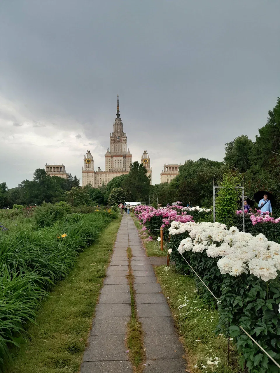 Фото МГУ, 15 из 20