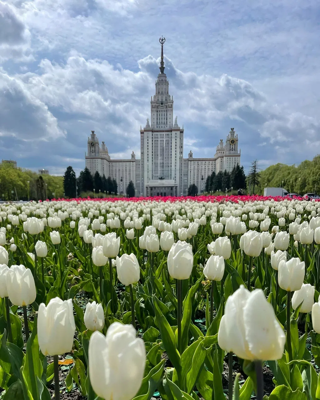Фото МГУ, 7 из 20